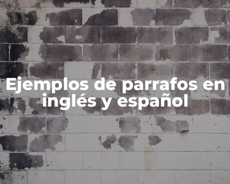 Ejemplos de parrafos en inglés y español