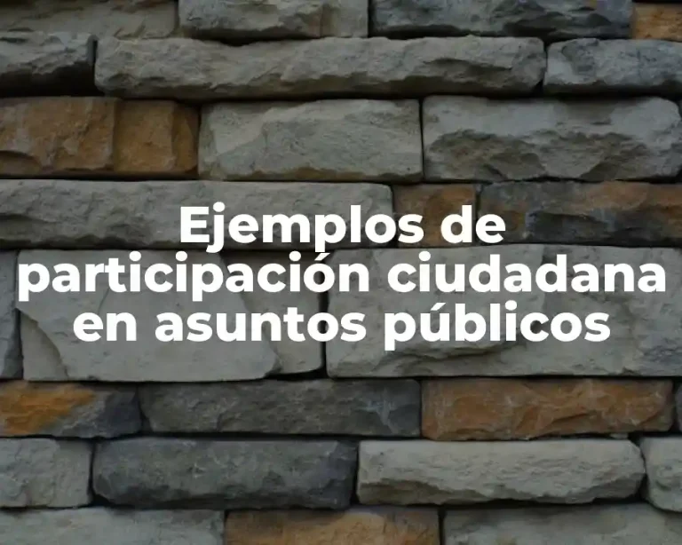 Ejemplos de participación ciudadana en asuntos públicos