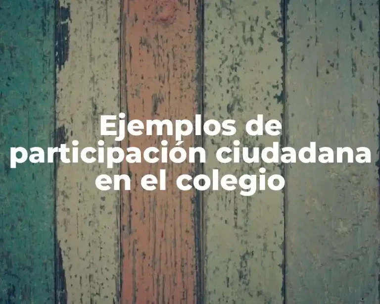 Ejemplos de participación ciudadana en el colegio