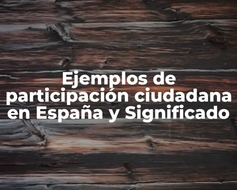 Ejemplos de participación ciudadana en España y Significado