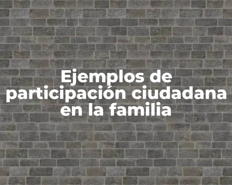 Ejemplos de participación ciudadana en la familia