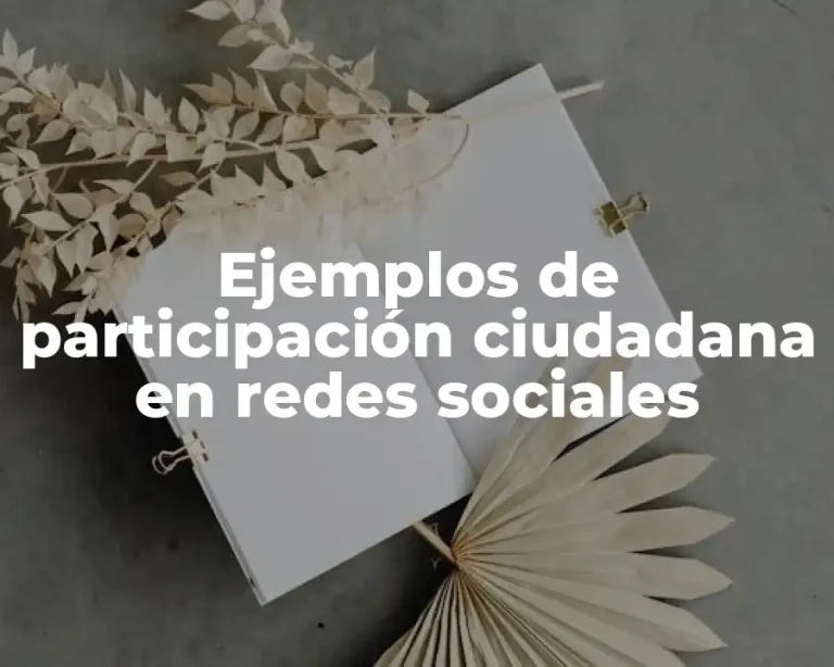 Ejemplos de participación ciudadana en redes sociales