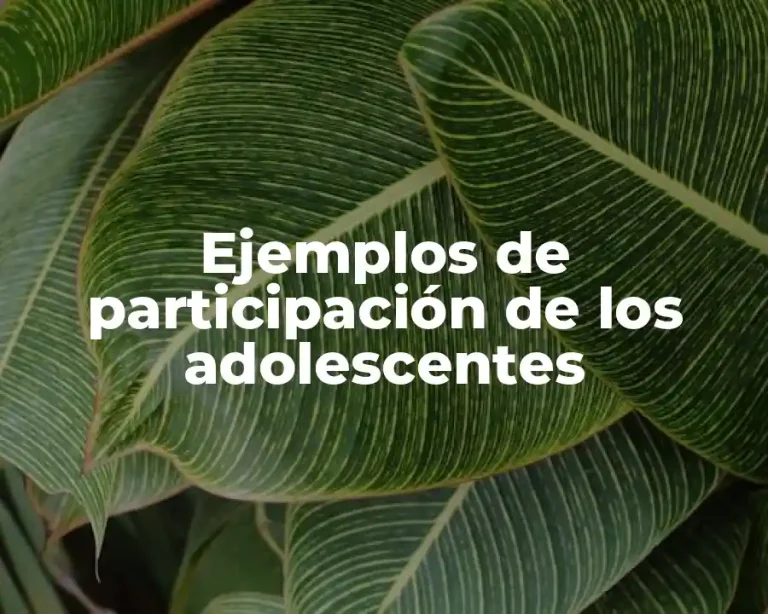 Ejemplos de participación de los adolescentes
