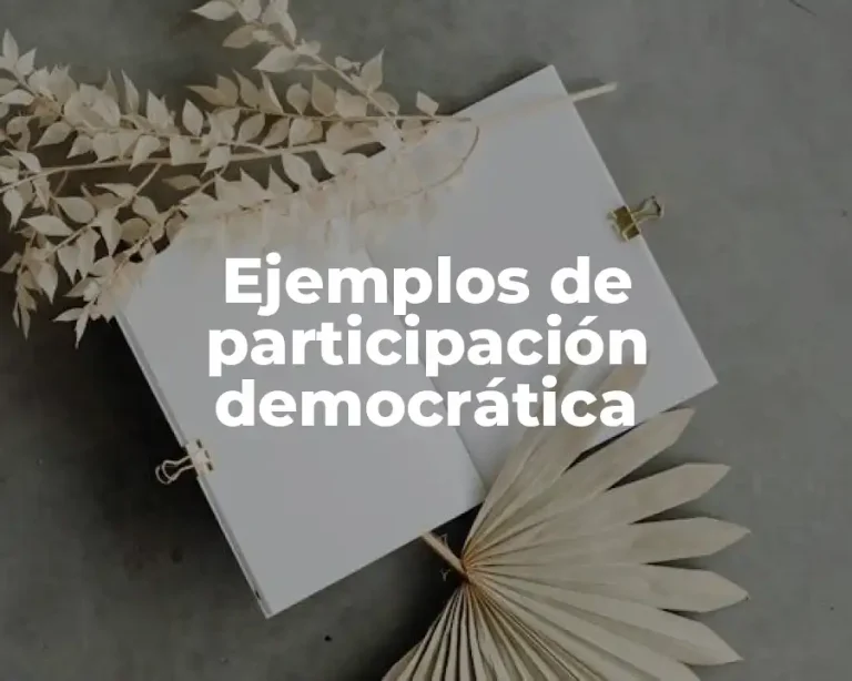 Ejemplos de participación democrática