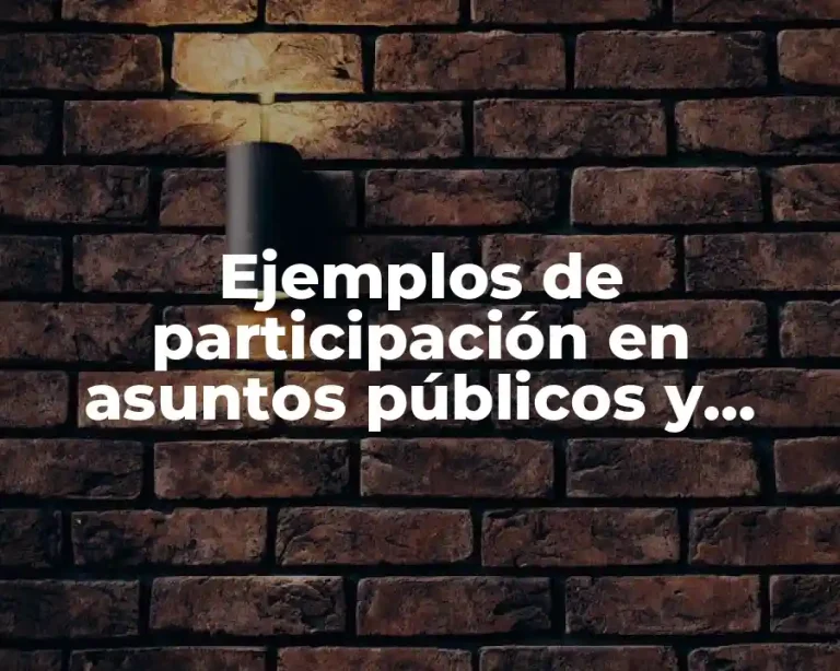 Ejemplos de participación en asuntos públicos y Significado