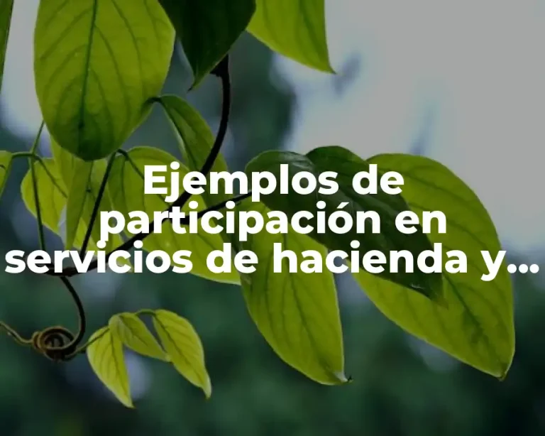 Ejemplos de participación en servicios de hacienda y crédito público