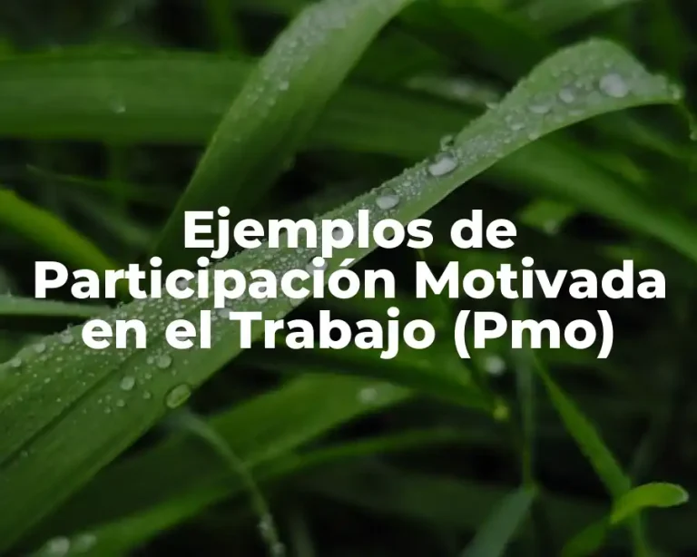 Ejemplos de Participación Motivada en el Trabajo (Pmo)