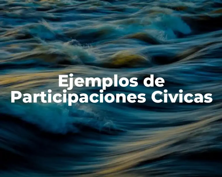 Ejemplos de Participaciones Civicas