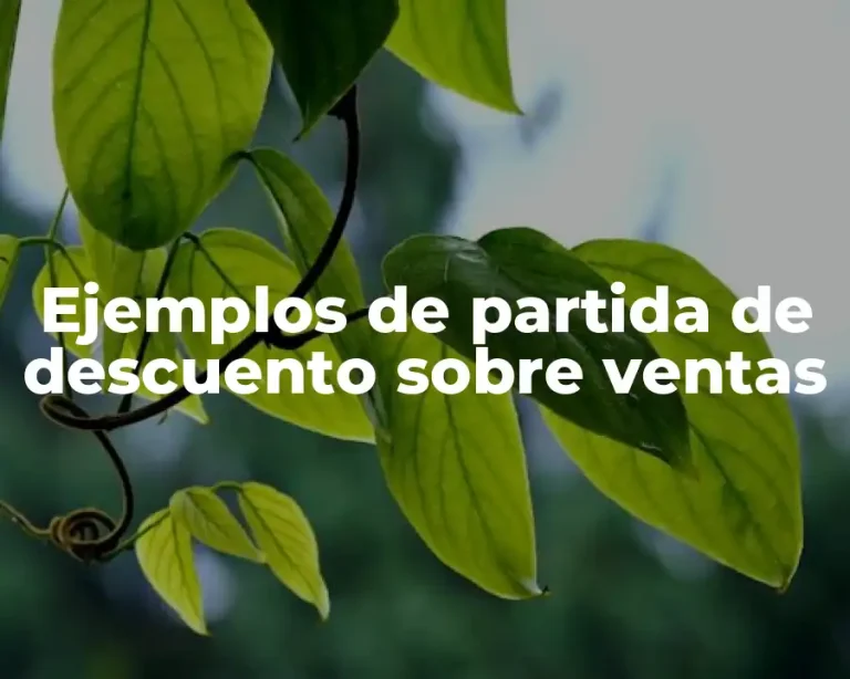 Ejemplos de partida de descuento sobre ventas