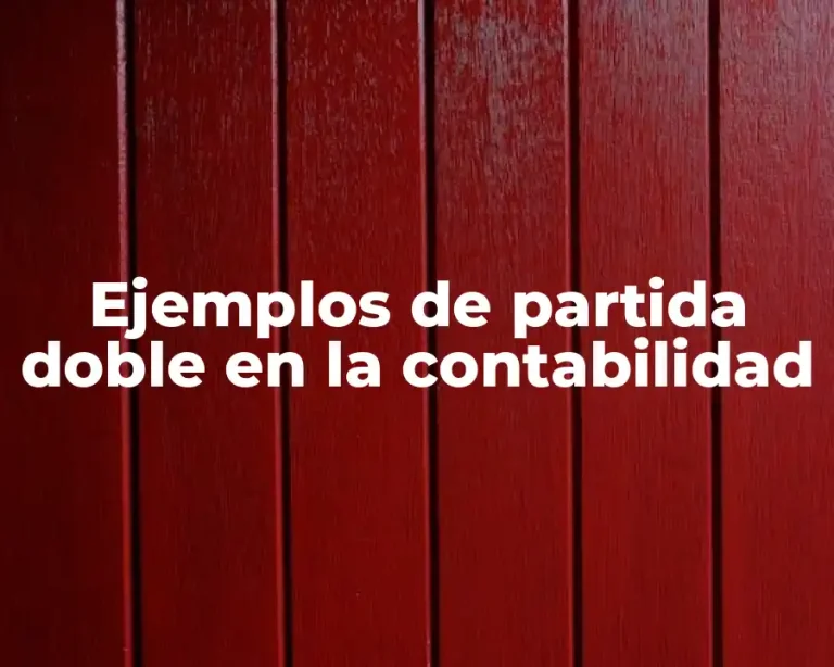 Ejemplos de partida doble en la contabilidad