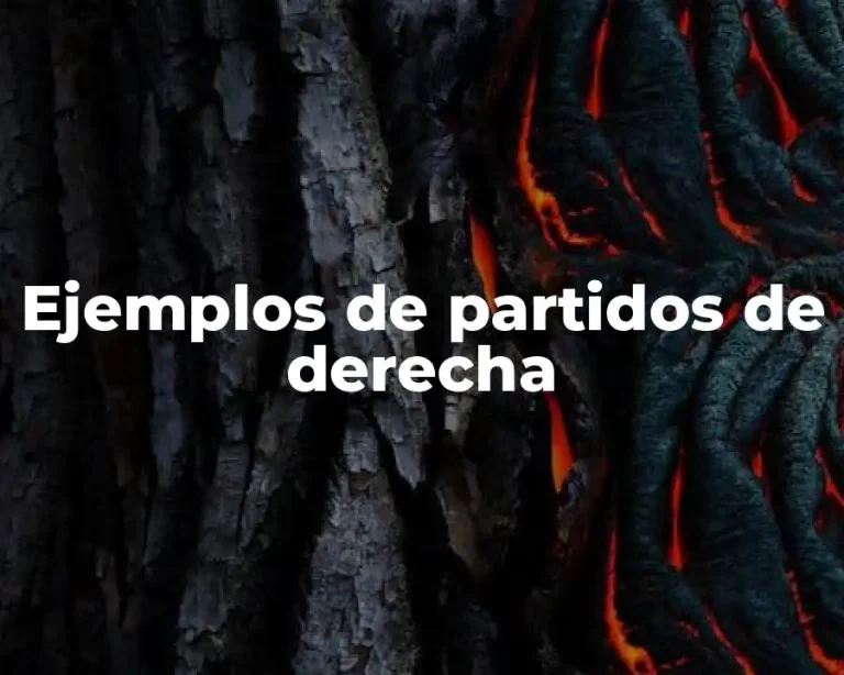 Ejemplos de partidos de derecha