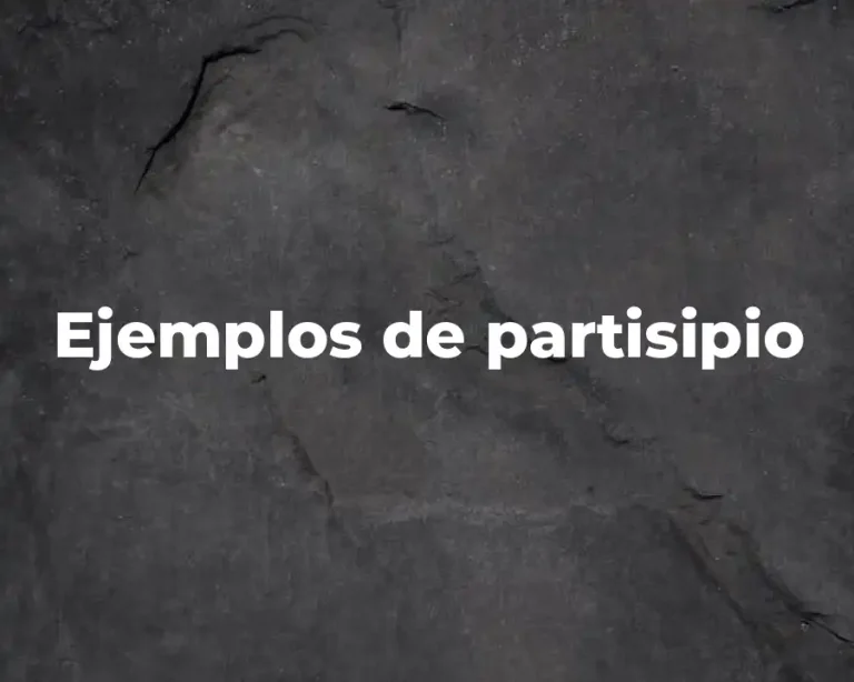 Ejemplos de partisipio