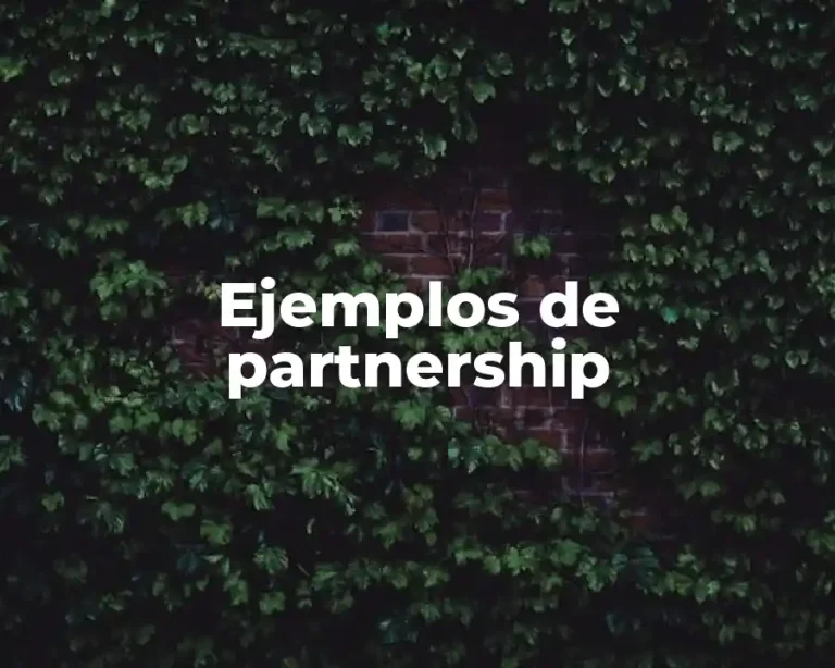 Ejemplos de partnership
