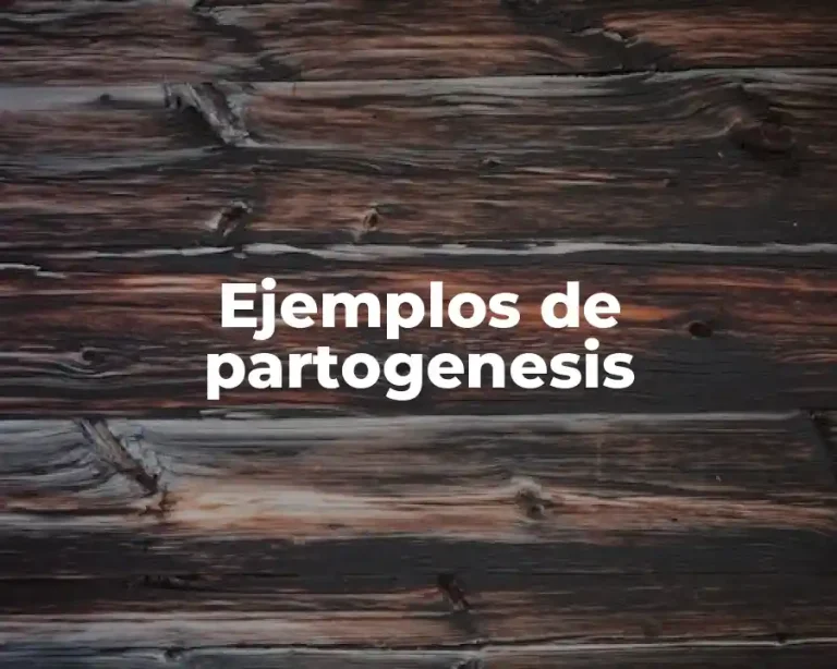 Ejemplos de partogenesis