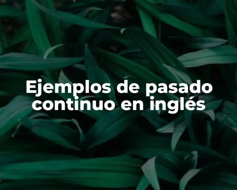 Ejemplos de pasado continuo en inglés