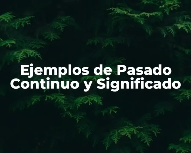 Ejemplos de Pasado Continuo y Significado