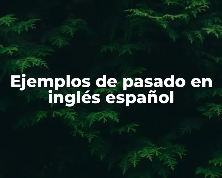 Ejemplos de pasado en inglés español