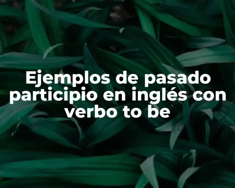 Ejemplos de pasado participio en inglés con verbo to be