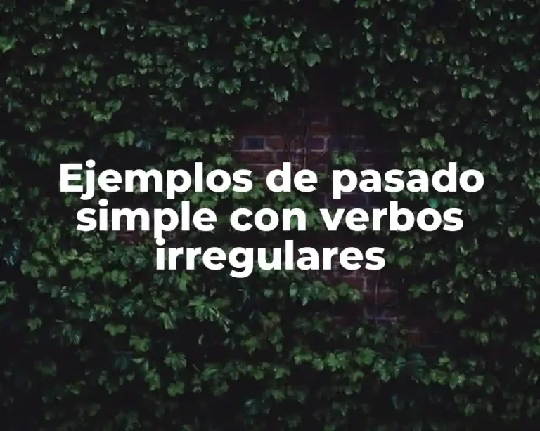 Ejemplos de pasado simple con verbos irregulares