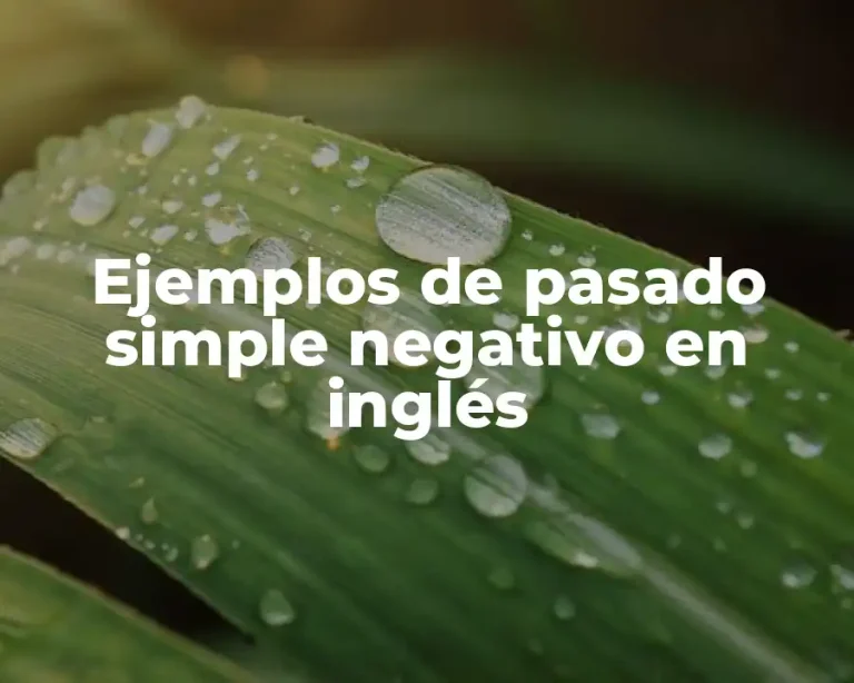 Ejemplos de pasado simple negativo en inglés