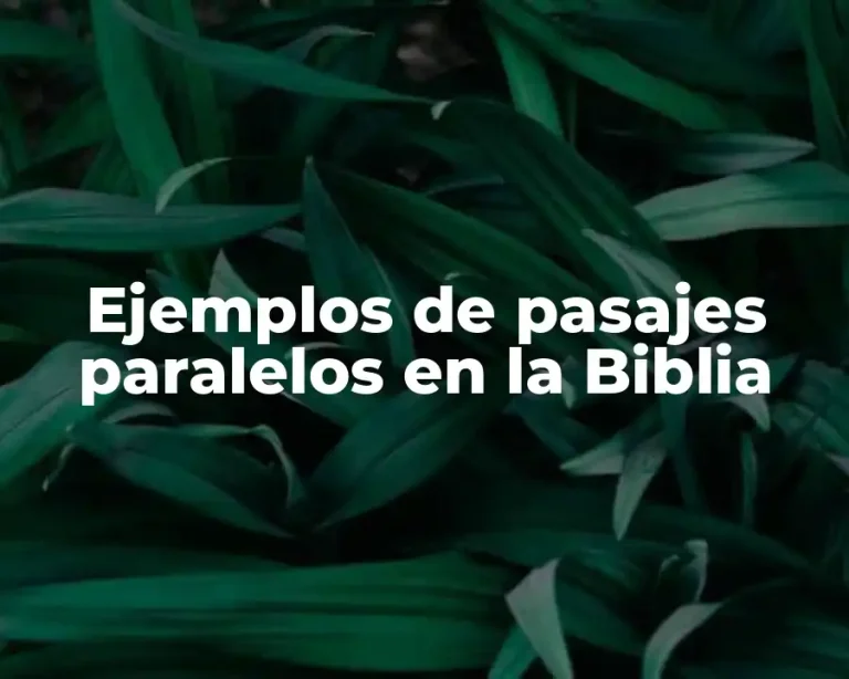 Ejemplos de pasajes paralelos en la Biblia