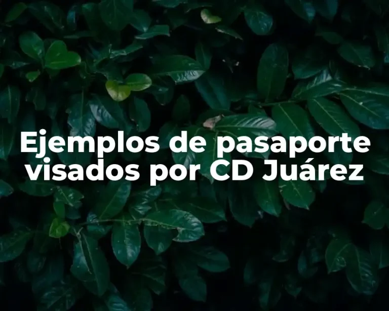 Ejemplos de pasaporte visados por CD Juárez