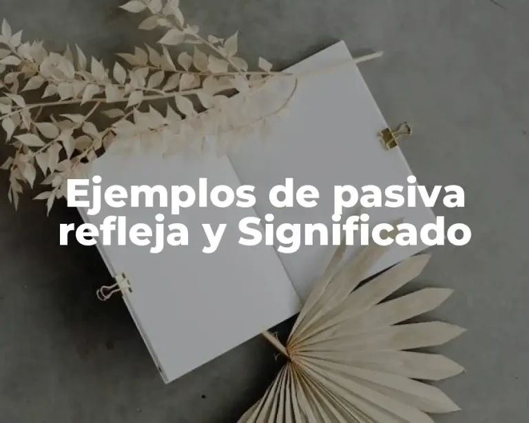 Ejemplos de pasiva refleja y Significado
