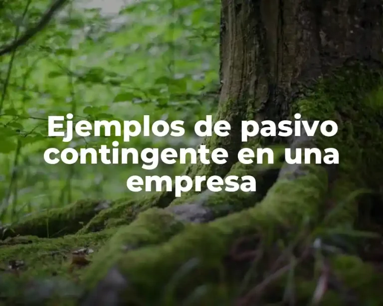 Ejemplos de pasivo contingente en una empresa