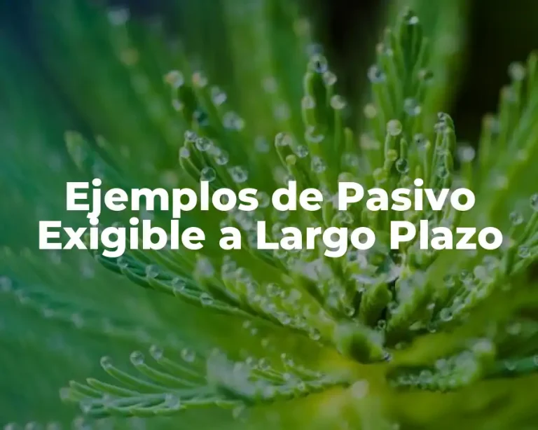 Ejemplos de Pasivo Exigible a Largo Plazo