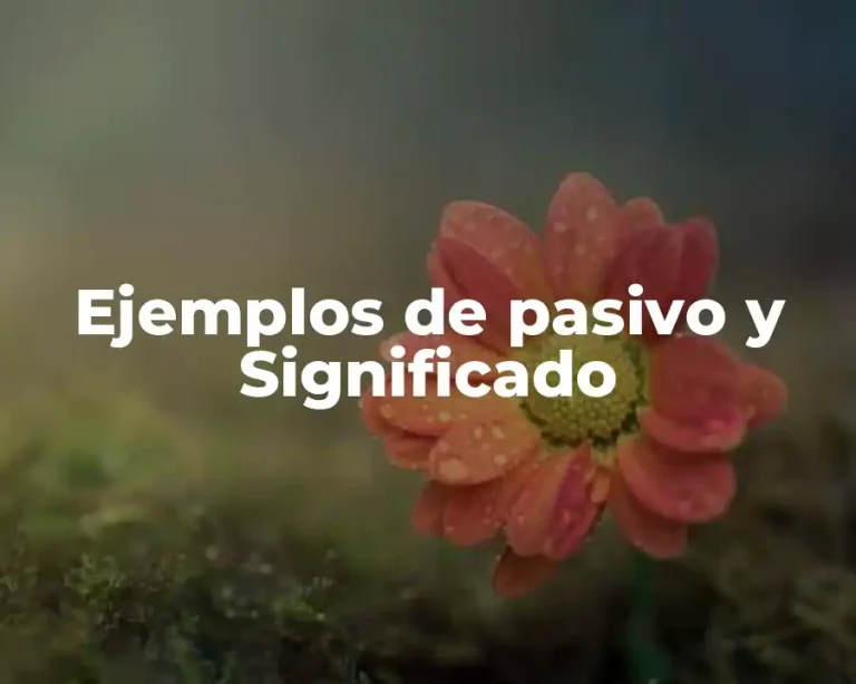 Ejemplos de pasivo y Significado