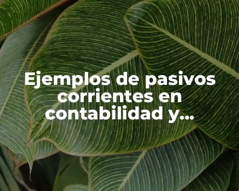 Ejemplos de pasivos corrientes en contabilidad y Significado