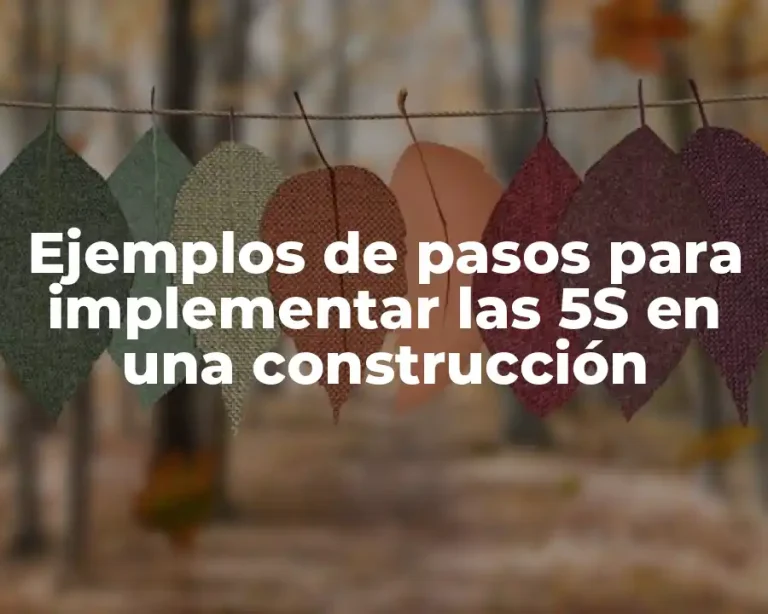 Ejemplos de pasos para implementar las 5S en una construcción