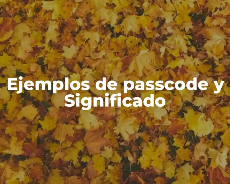 Ejemplos de passcode y Significado