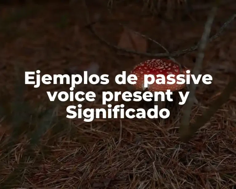 Ejemplos de passive voice present y Significado