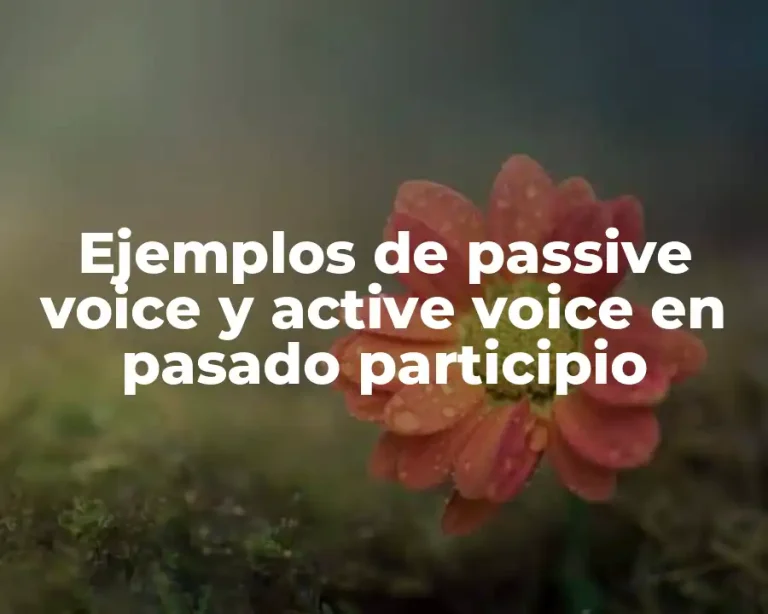 Ejemplos de passive voice y active voice en pasado participio