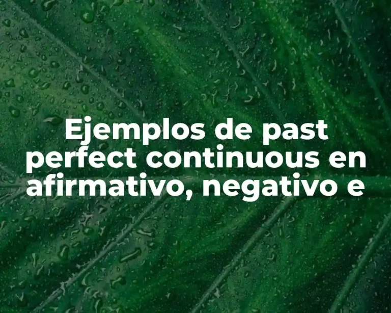 Ejemplos de past perfect continuous en afirmativo, negativo e