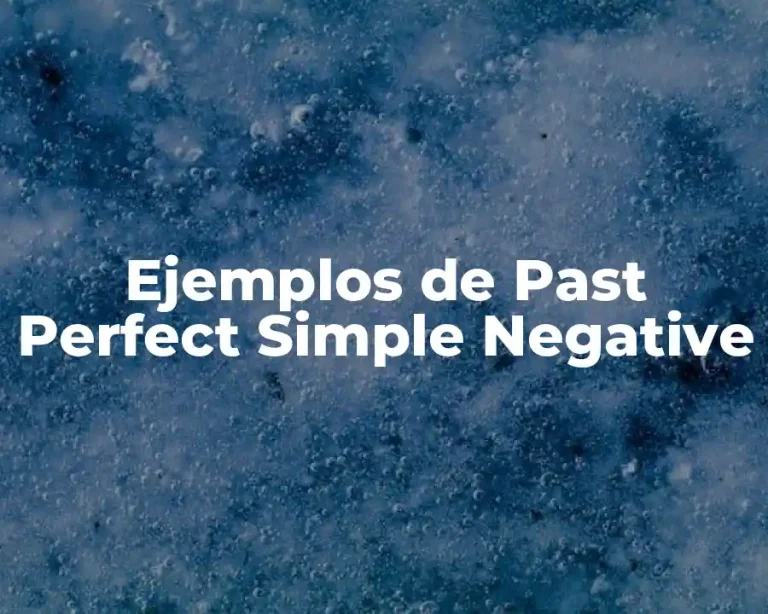 Ejemplos de Past Perfect Simple Negative