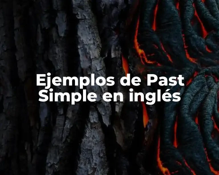 Ejemplos de Past Simple en inglés