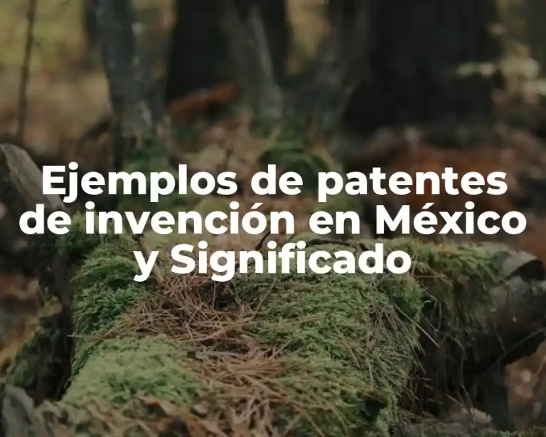 Ejemplos de patentes de invención en México y Significado
