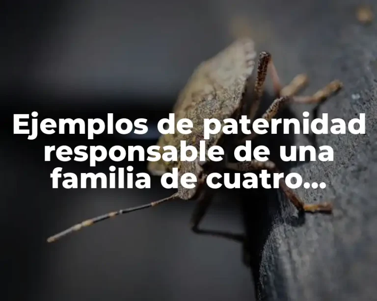 Ejemplos de paternidad responsable de una familia de cuatro integrantes