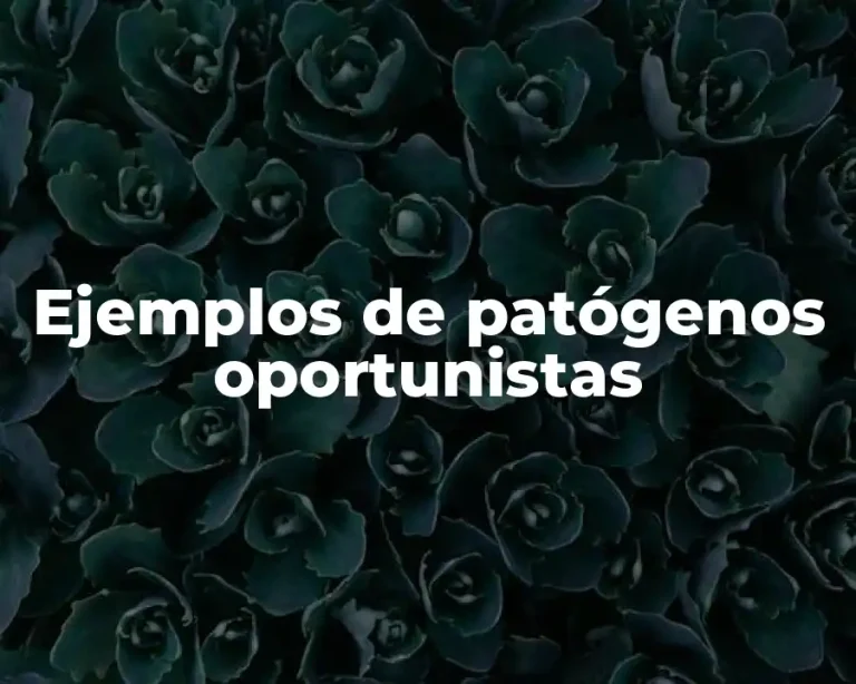 Ejemplos de patógenos oportunistas