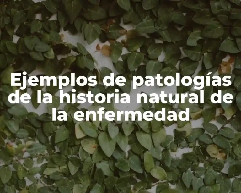 Ejemplos de patologías de la historia natural de la enfermedad