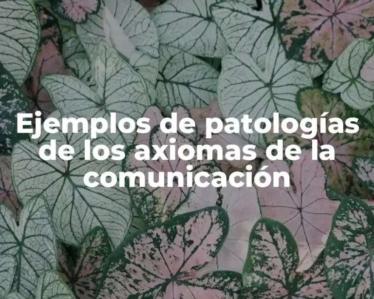 Ejemplos de patologías de los axiomas de la comunicación
