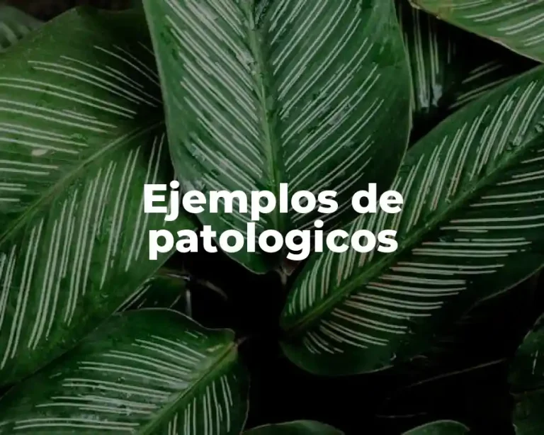 Ejemplos de patologicos