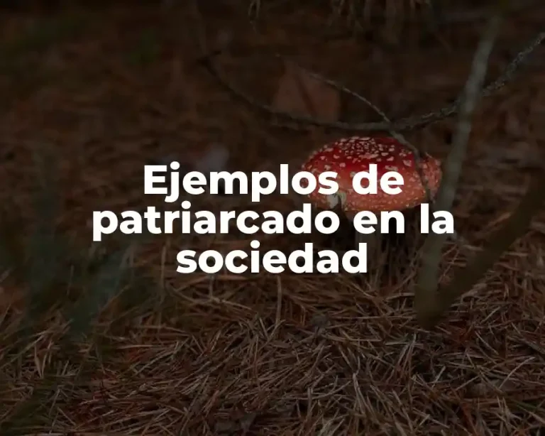 Ejemplos de patriarcado en la sociedad
