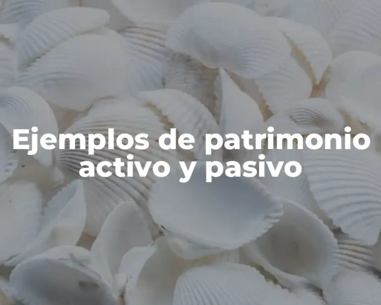 Ejemplos de patrimonio activo y pasivo