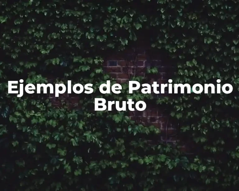 Ejemplos de Patrimonio Bruto