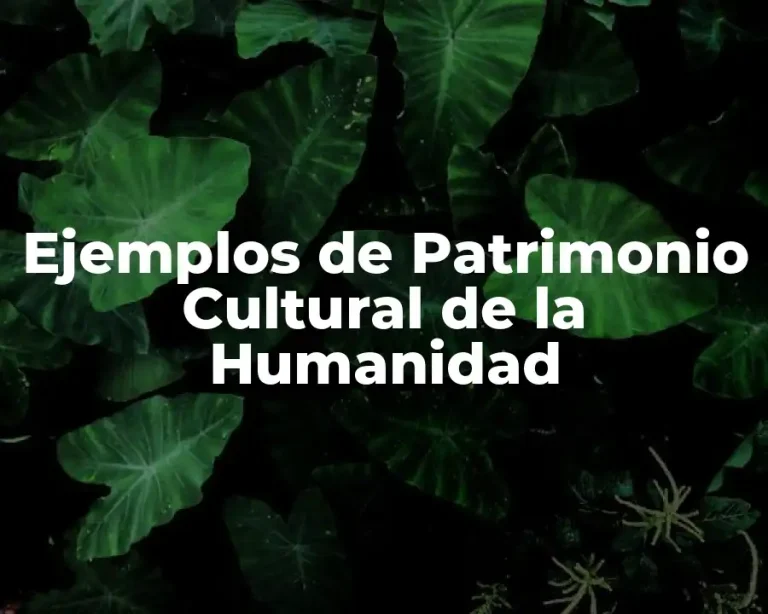 Ejemplos de Patrimonio Cultural de la Humanidad