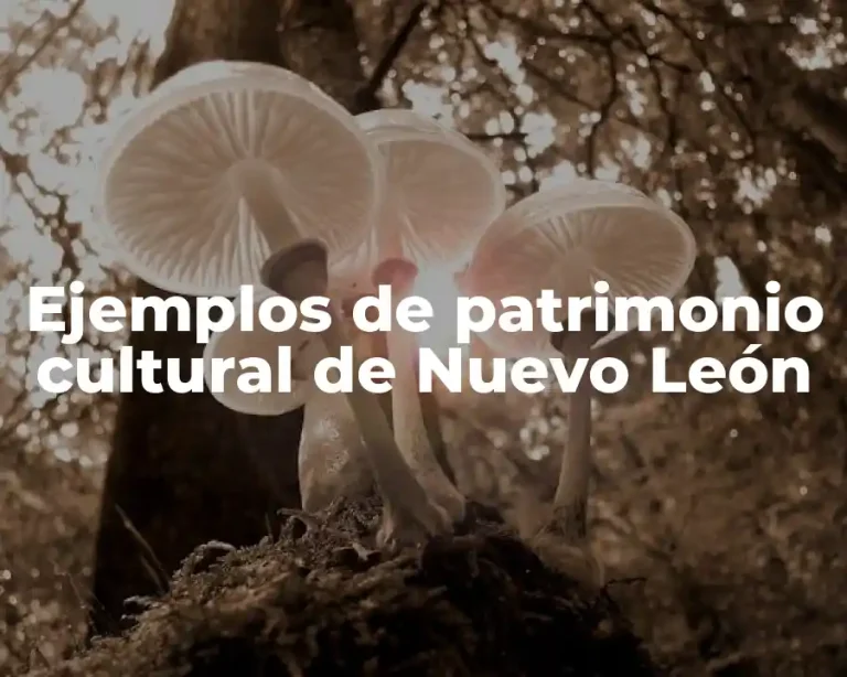 Ejemplos de patrimonio cultural de Nuevo León