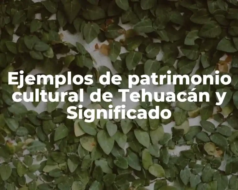 Ejemplos de patrimonio cultural de Tehuacán y Significado